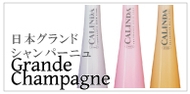 日本グランド