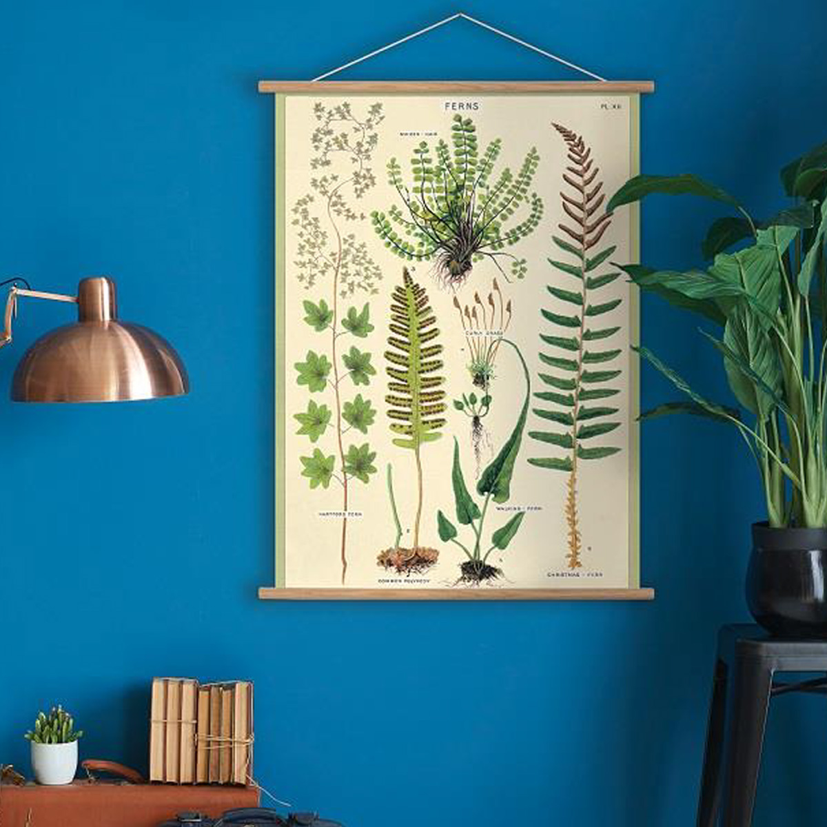 【CAVALLINI】カバリーニ デコラティブラップ ラッピング ポスター 1