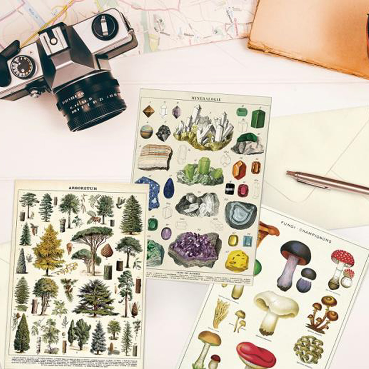 【CAVALLINI】カバリーニ グリーティングカード