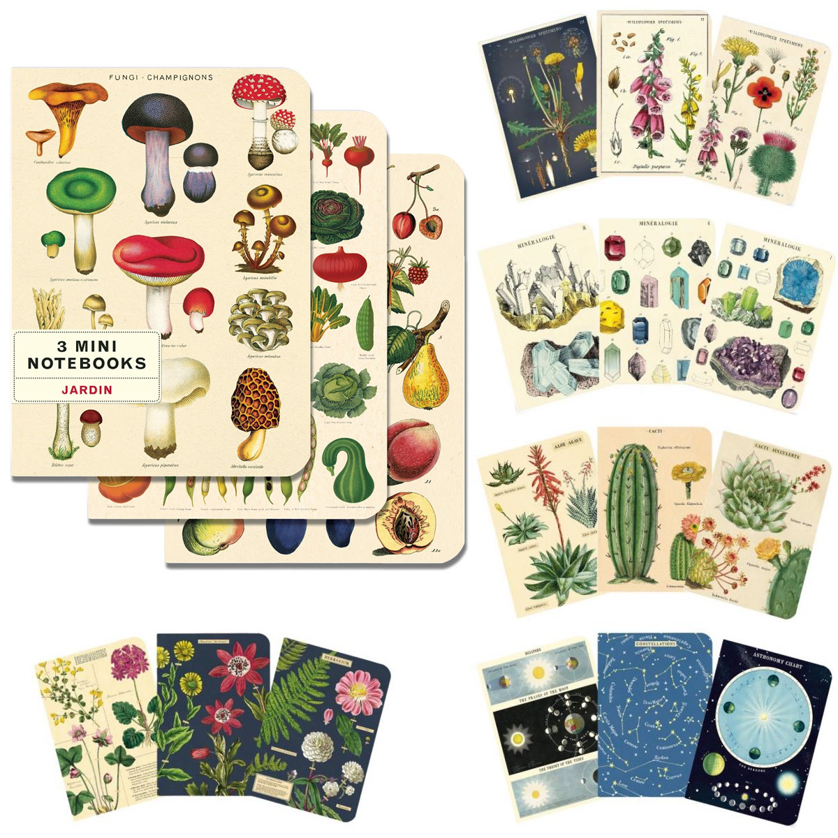 【CAVALLINI】カバリーニ ミニノートブックセット 横罫・無地・方眼