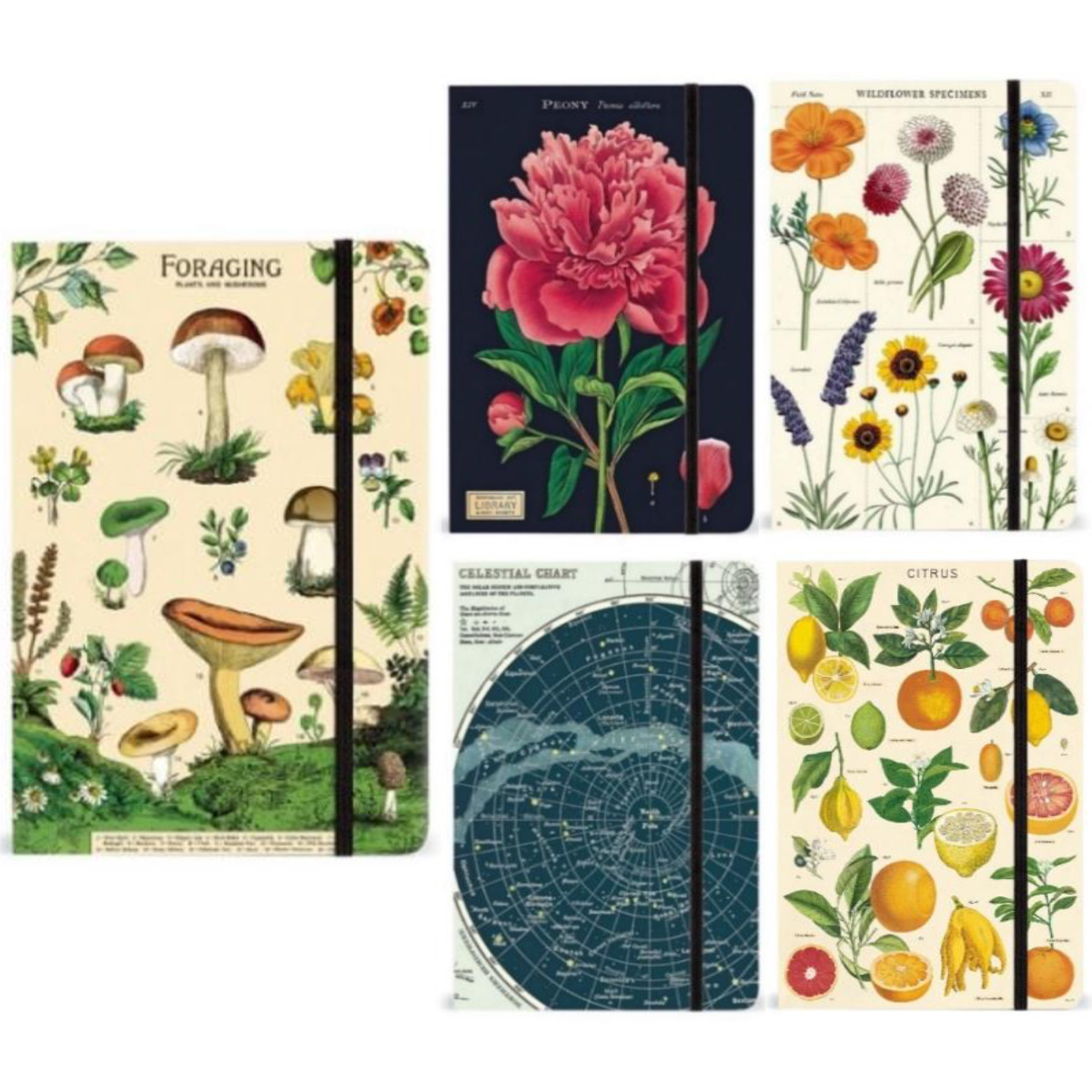 【CAVALLINI】カバリーニ ラージノートブック 横罫A5サイズ