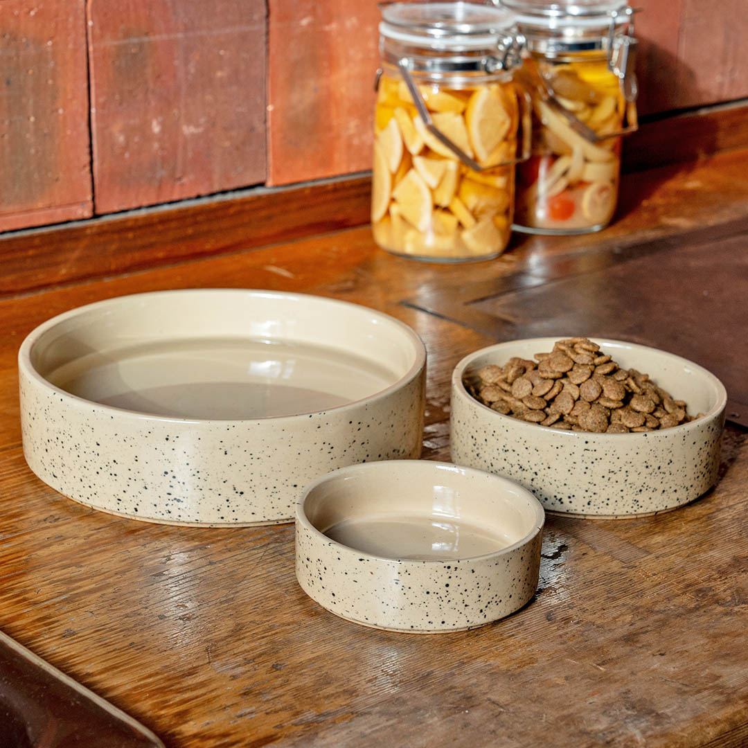 【DULTON】ダルトン WAG スプラッターセラミックドッグボウル ペット用食器 犬