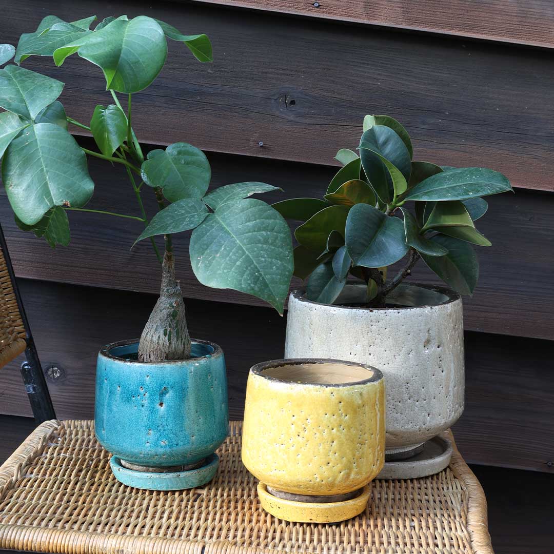 GLAZED EARTHENWARE POT グレイズド アーザンウェア ポット 植木鉢 フラワーポット