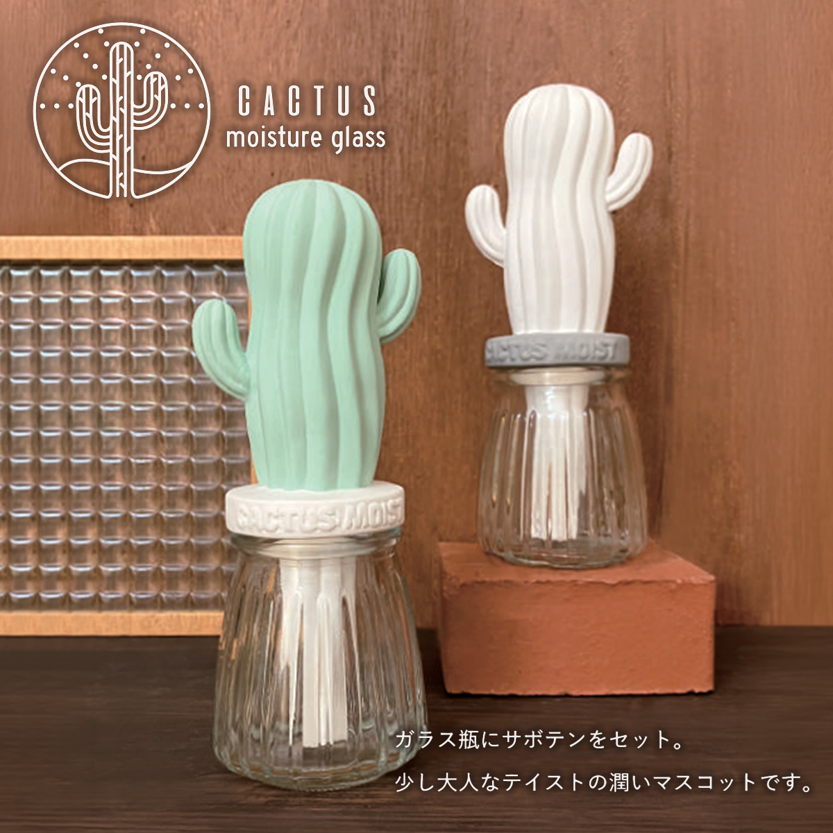 《予約：9月上旬入荷予定》 潤いマスコット ハシラサボテン
