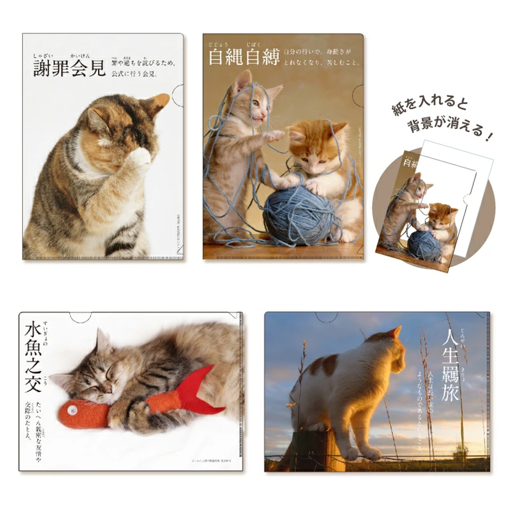 【クリアファイル】かわいい にゃんこ四字熟語辞典 お土産 猫 ねこ インバウンド 日本製