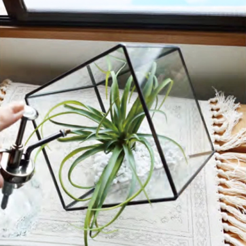 テラリウム スクエア トライアングル インテリア雑貨