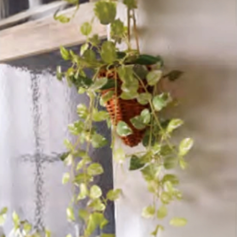 フェイクグリーン 壁掛け＆ハンキング バスケット インテリア ガーデニング