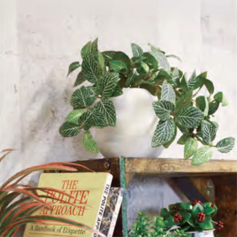 MRポット KMポット インテリアグリーン