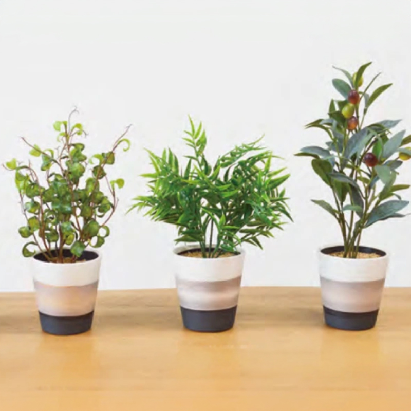 RMSポット インテリアグリーン