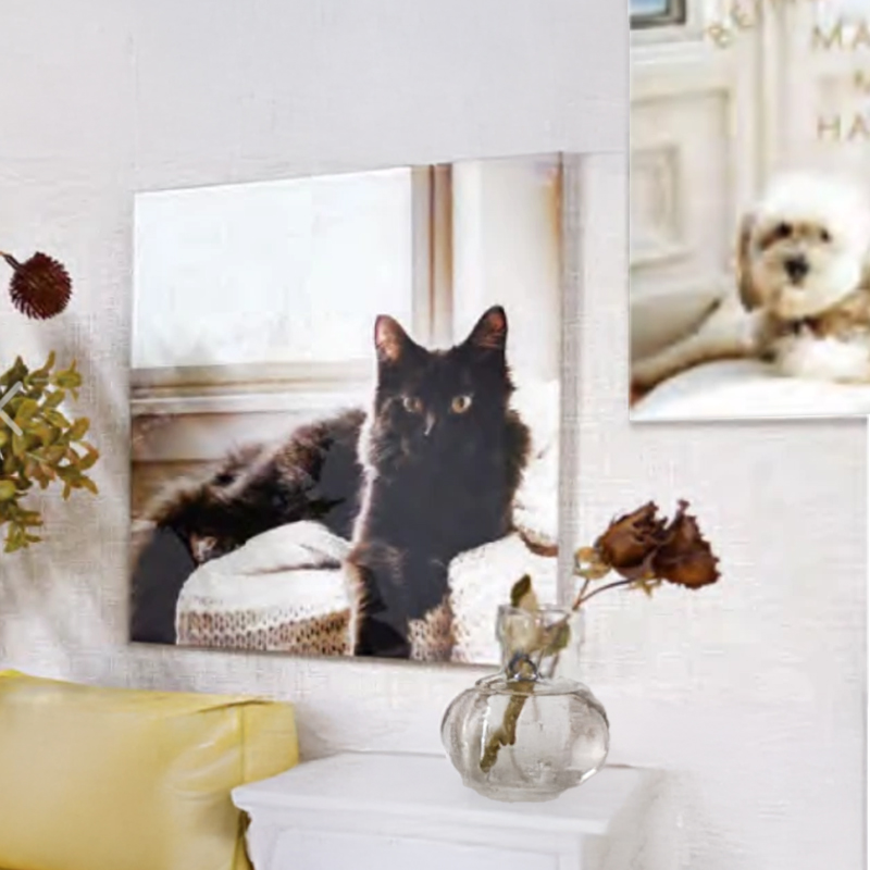 ガラスデザインボードS グリーン キャット ドッグ