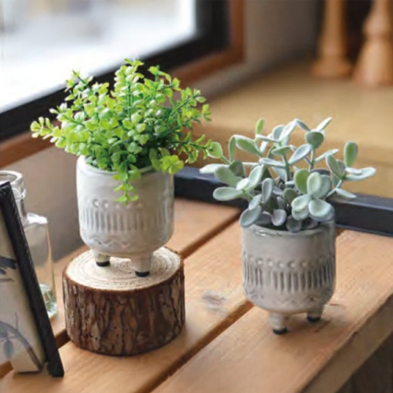 ルピエポット コチレドン エアプランツ ファンシェイプ インテリア雑貨