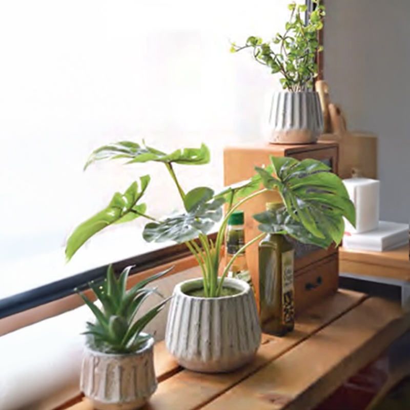 ナビールポットS＆M インテリアグリーン