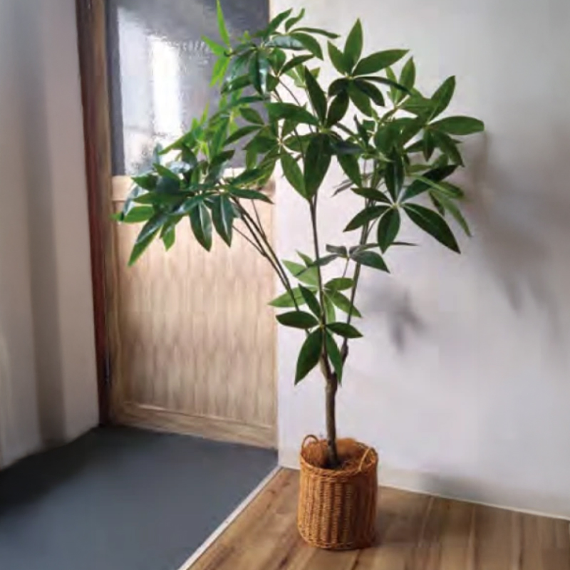 120ポット インテリアグリーン