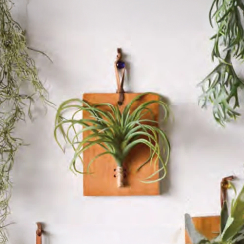 ウォールボード チランジア コウモリラン インテリア フェイクグリーン インテリア雑貨