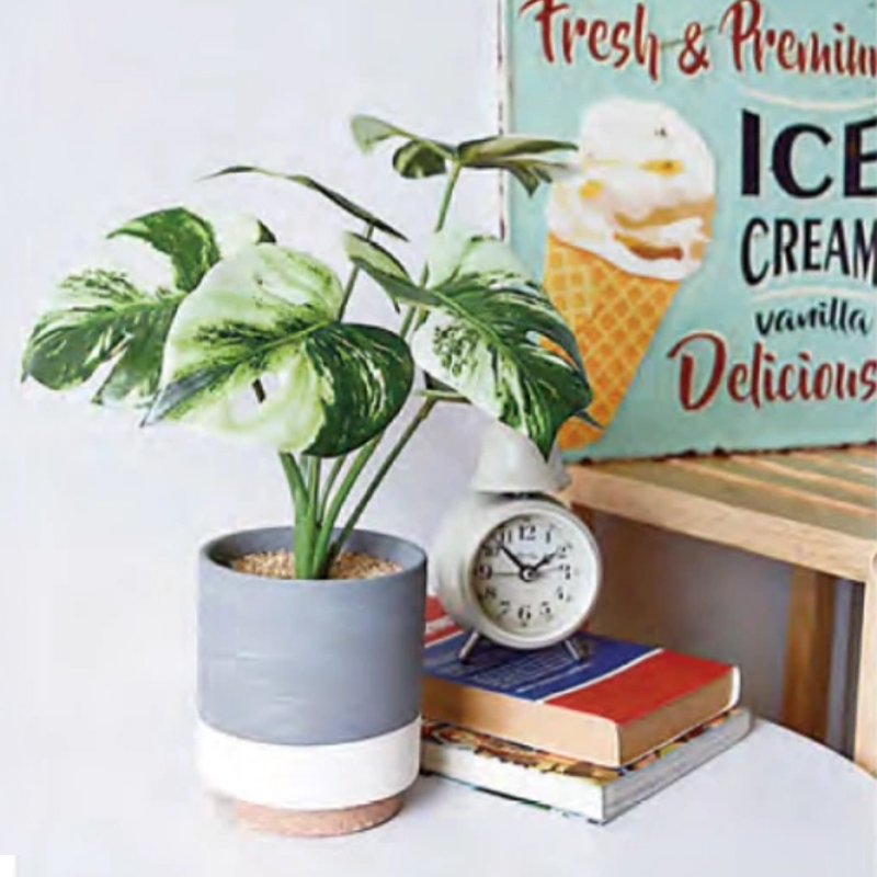 CMポット インテリアグリーン