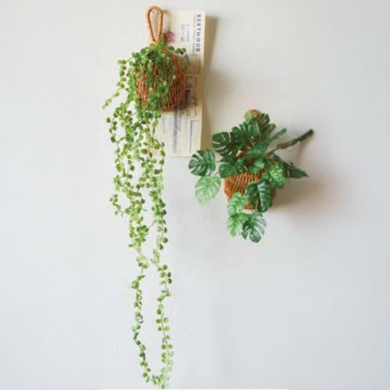 光触媒インテリアグリーン ドロップバスケット