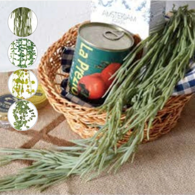 光触媒インテリアグリーン グリーンブッシュ