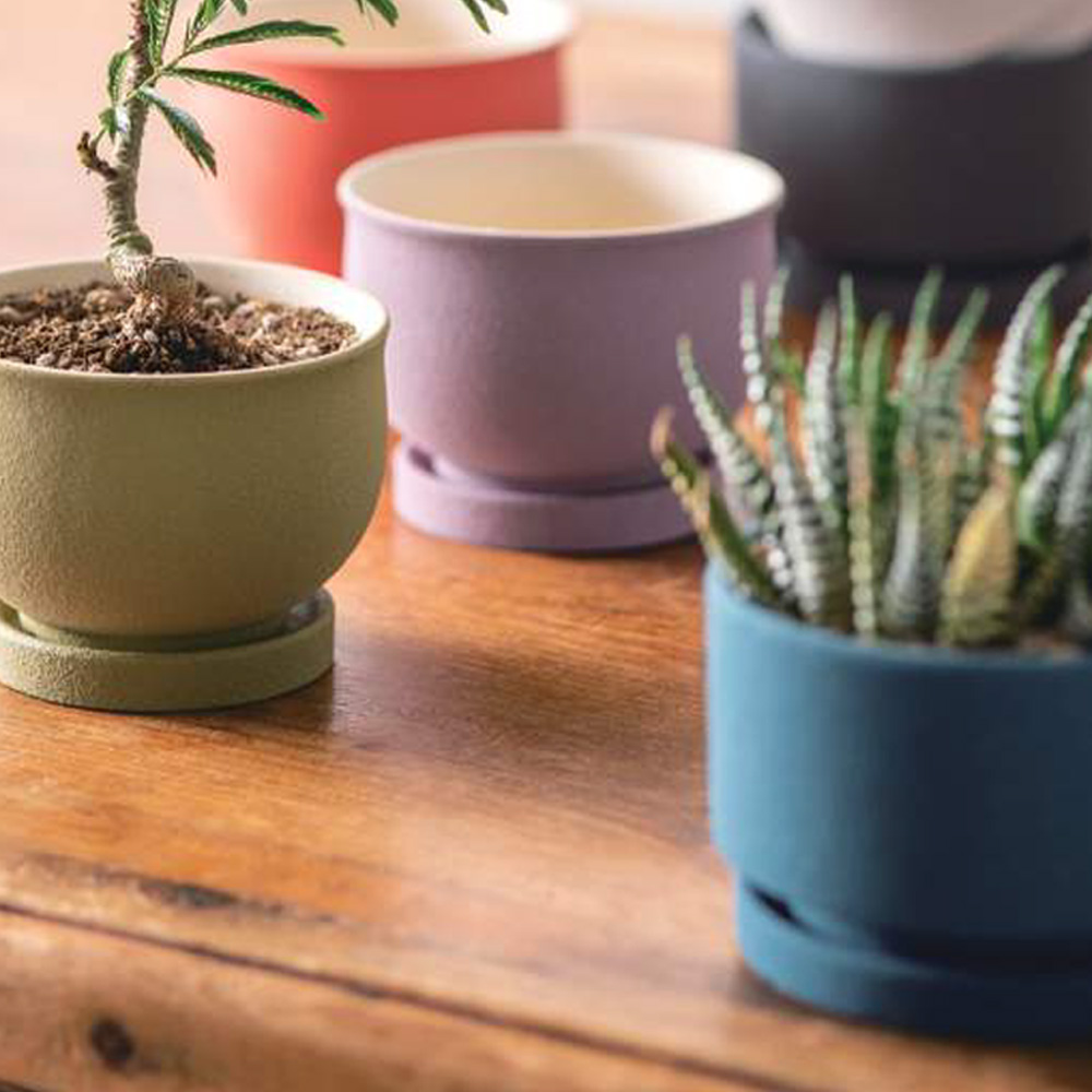 《予約5月中旬入荷》ソマリポット vol.1 植木鉢 プランター 和カラー かわいい