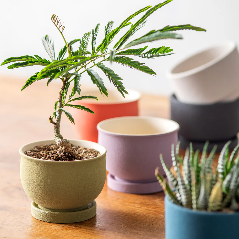 《予約5月中旬入荷》ソマリポット vol.2 植木鉢 プランター 和カラー かわいい