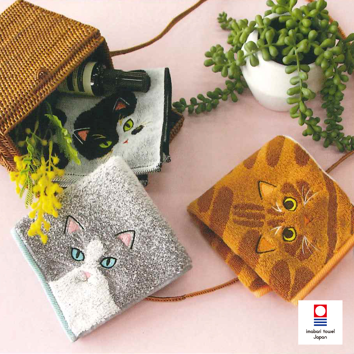 【5月発売】【Uchinoko】うちのニャンコ 毛並みハンカチ【日本製 今治】