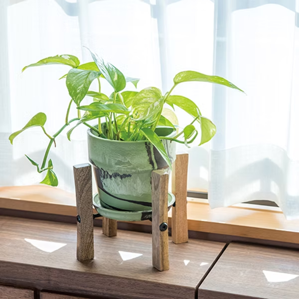 ポットスタンド&サークルコンポート インテリア フラワーポット 植木鉢