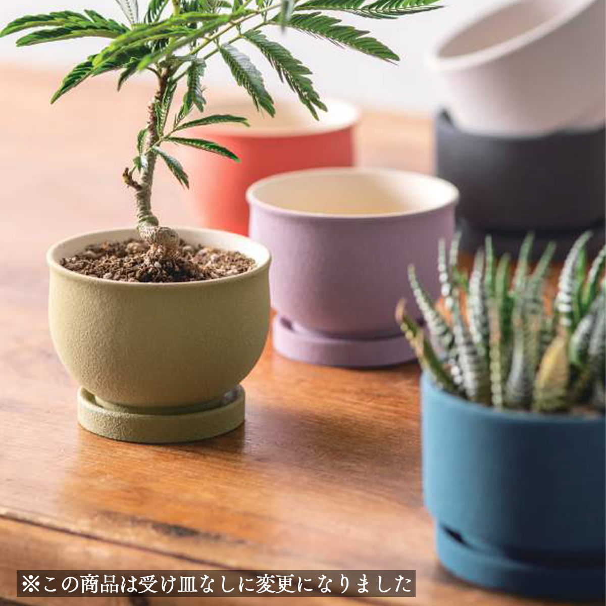 ソマリポット vol.1 植木鉢 プランター 和カラー かわいい