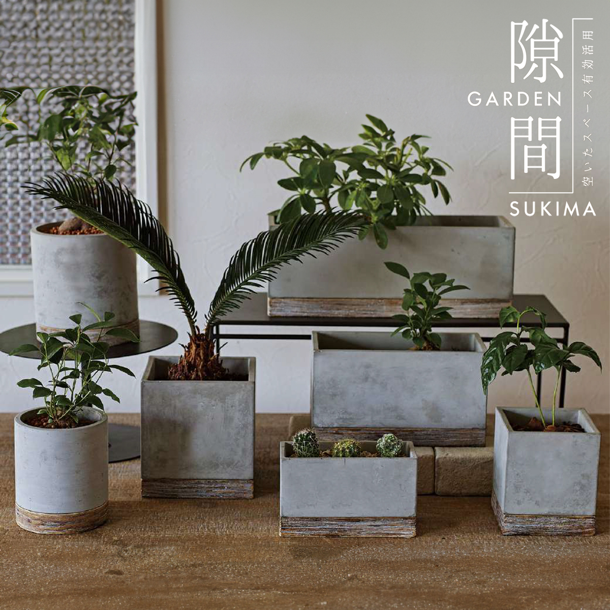 【SOW】FEEL THE GARDEN セメントプランター 植木鉢 フラワーポット インテリア ガーデニング