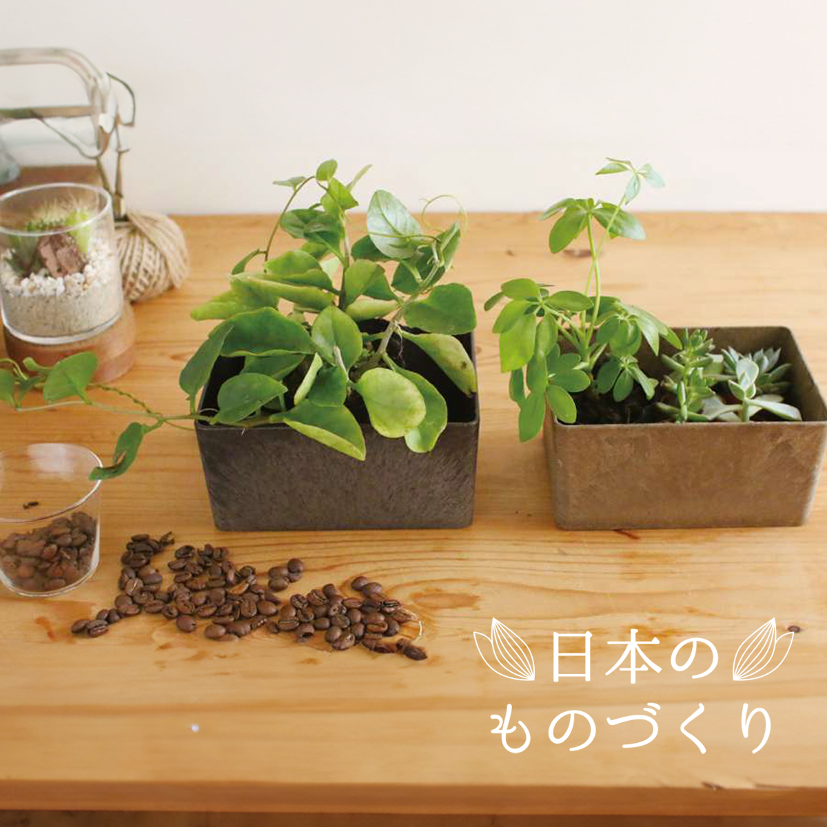 【SOW】KITOHAKO グリーンボックス インテリア ガーデニング 日本製