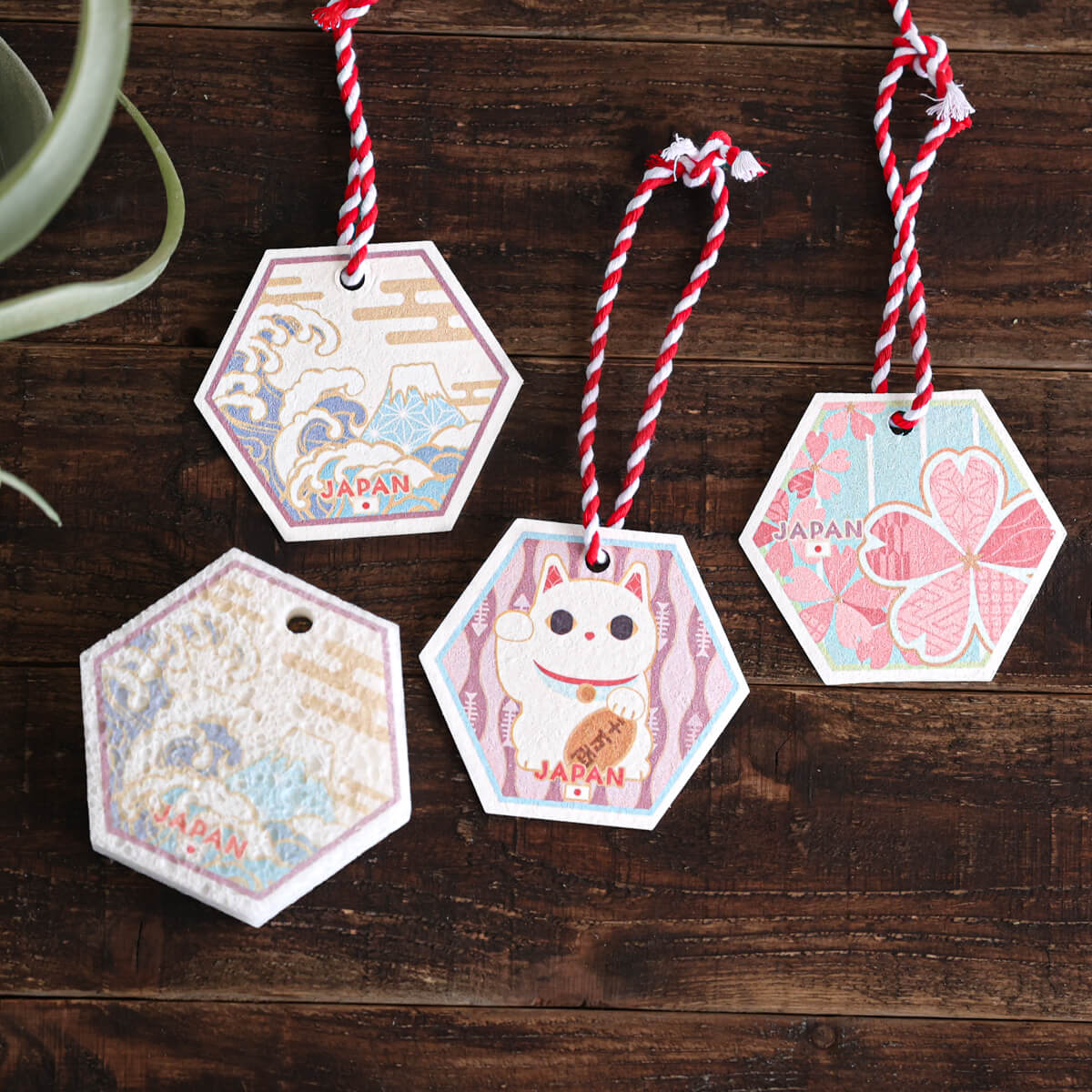 天然スポンジ 再生利用可能 お土産