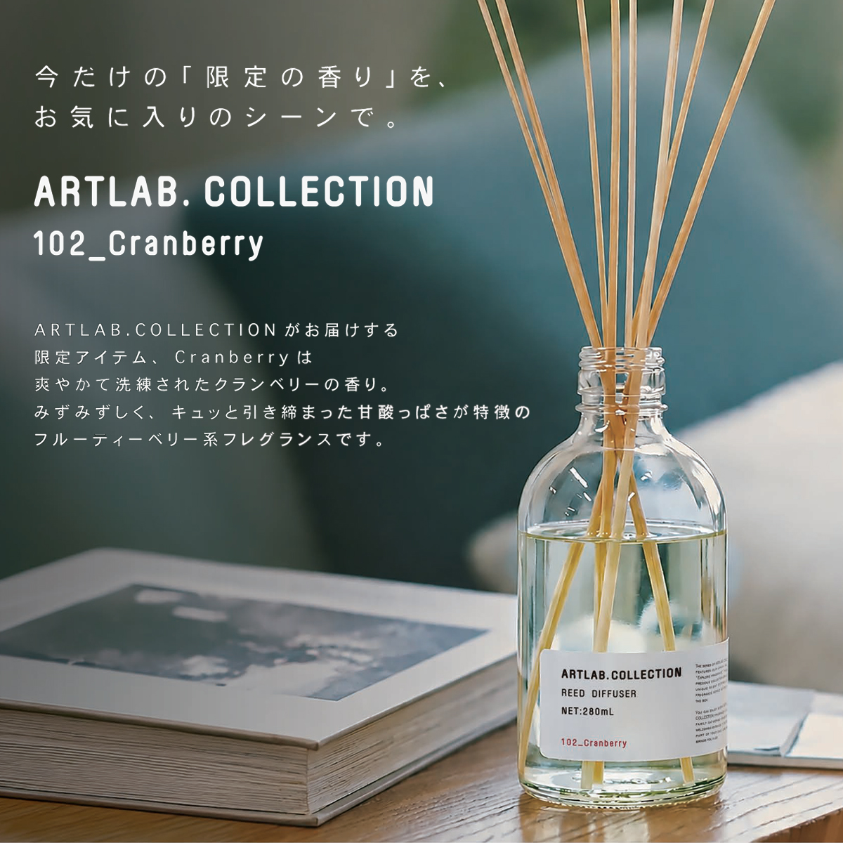 《予約7/17(金)締切：26年10月発売》【ARTLAB. COLLECTION】アートラボコレクション Cranberry クランベリー 期間限定