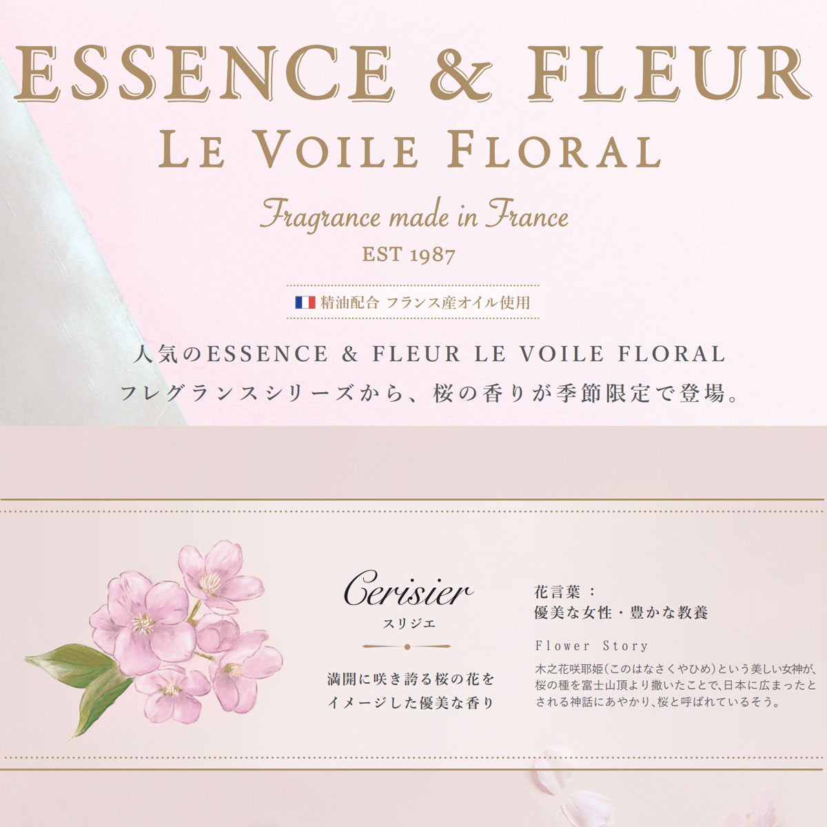 雑貨卸、雑貨仕入れ（【予約・要分割発注】【ESSENCE & FLEUR】LE