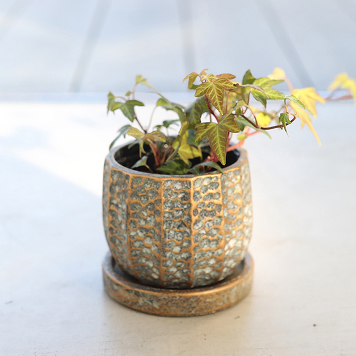 Hamptons メロネ ラウンドポット 植木鉢 アンティーク インテリア ガーデニング