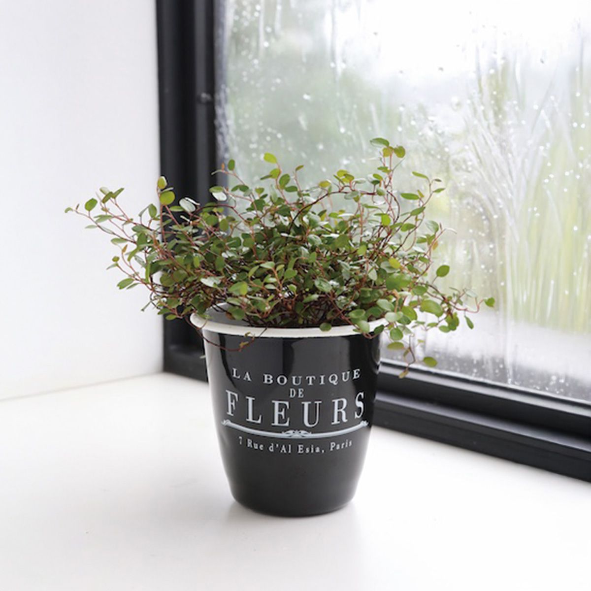 Hamptons アニマル オブジェ 馬&うさぎ&猫 ねこ アンティーク インテリア