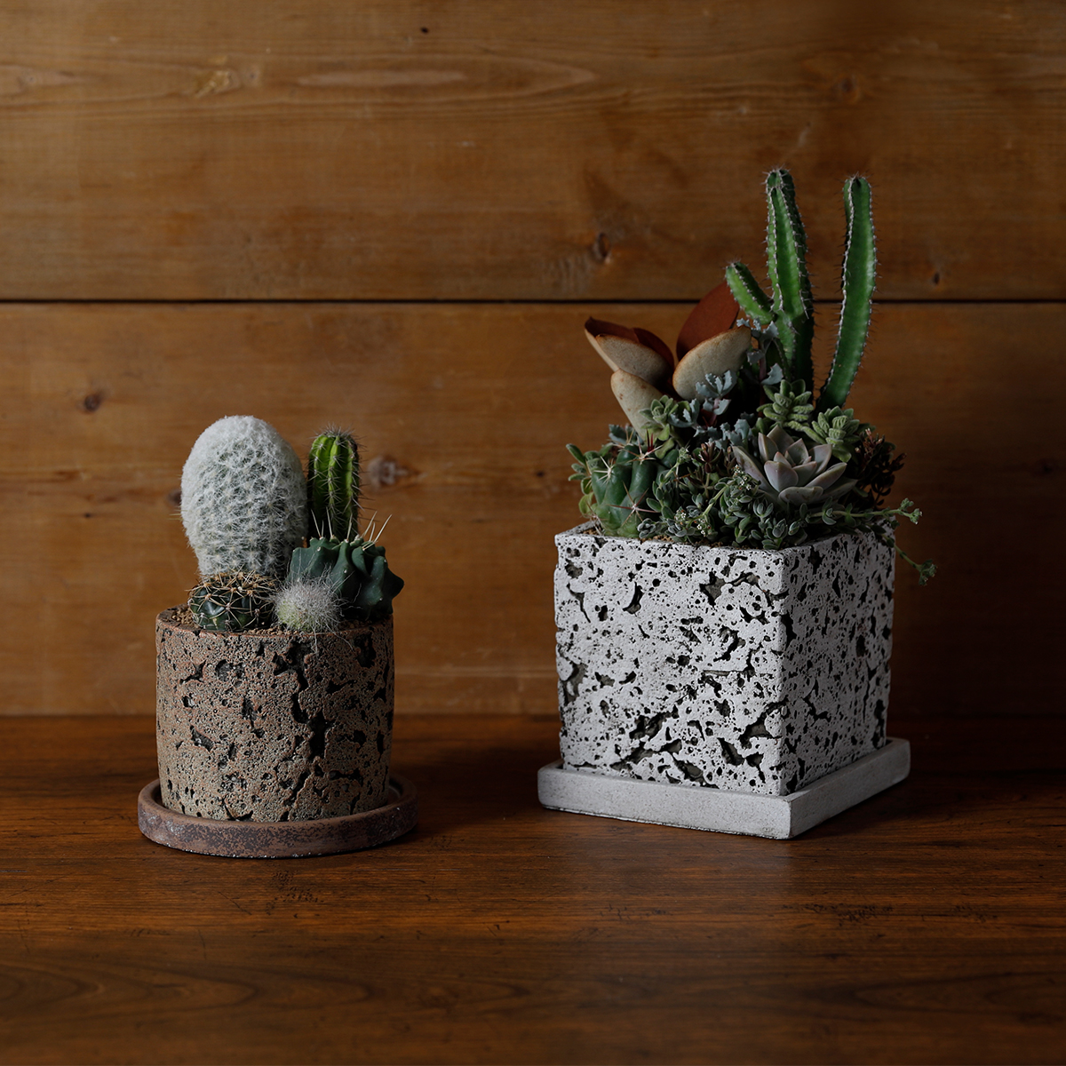 ロッシュワイド 植木鉢 プラントポット