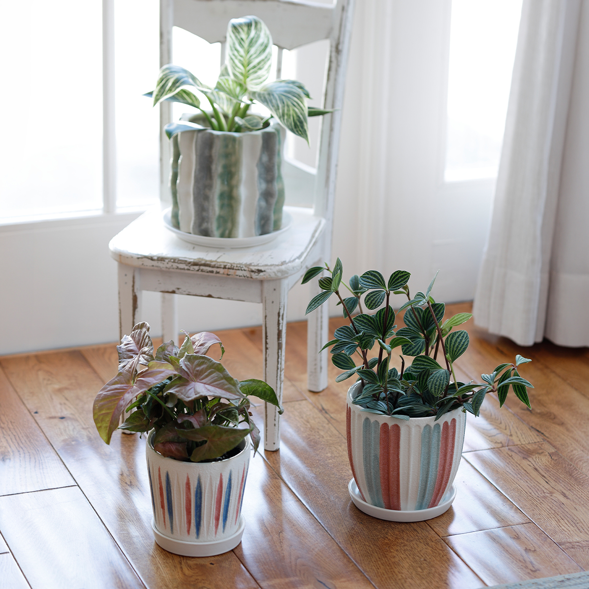 ヴァリーポット 植木鉢 プラントポット