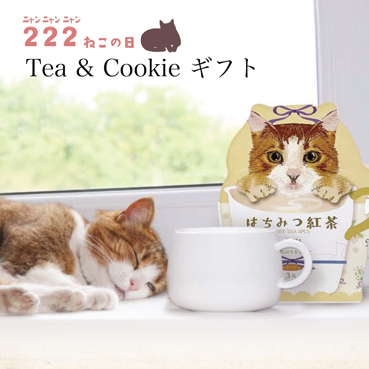 【予約：12月中旬発売】【ほんやら堂】222ねこの日 Teaギフト