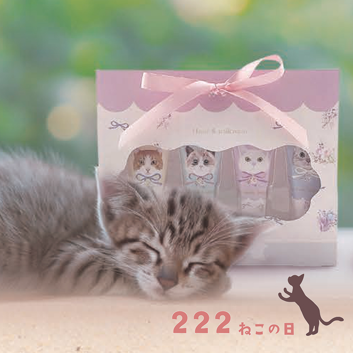 【予約：12月中旬発売】【ほんやら堂】222ねこの日 ハンドクリーム ギフト