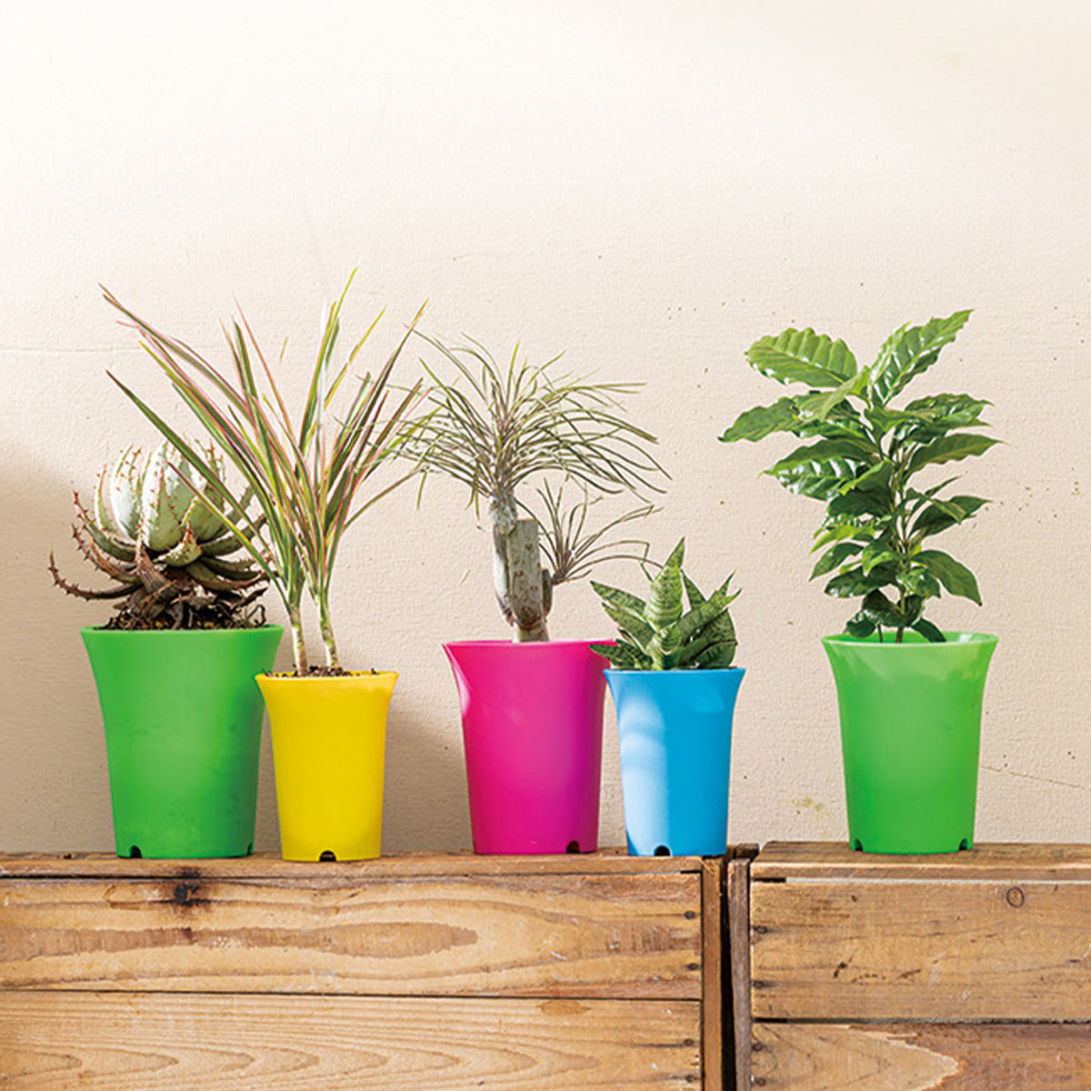 【ガーデニングやフラワーアレンジに】ネオンカラープラポット フラワーポット プランター 植木鉢