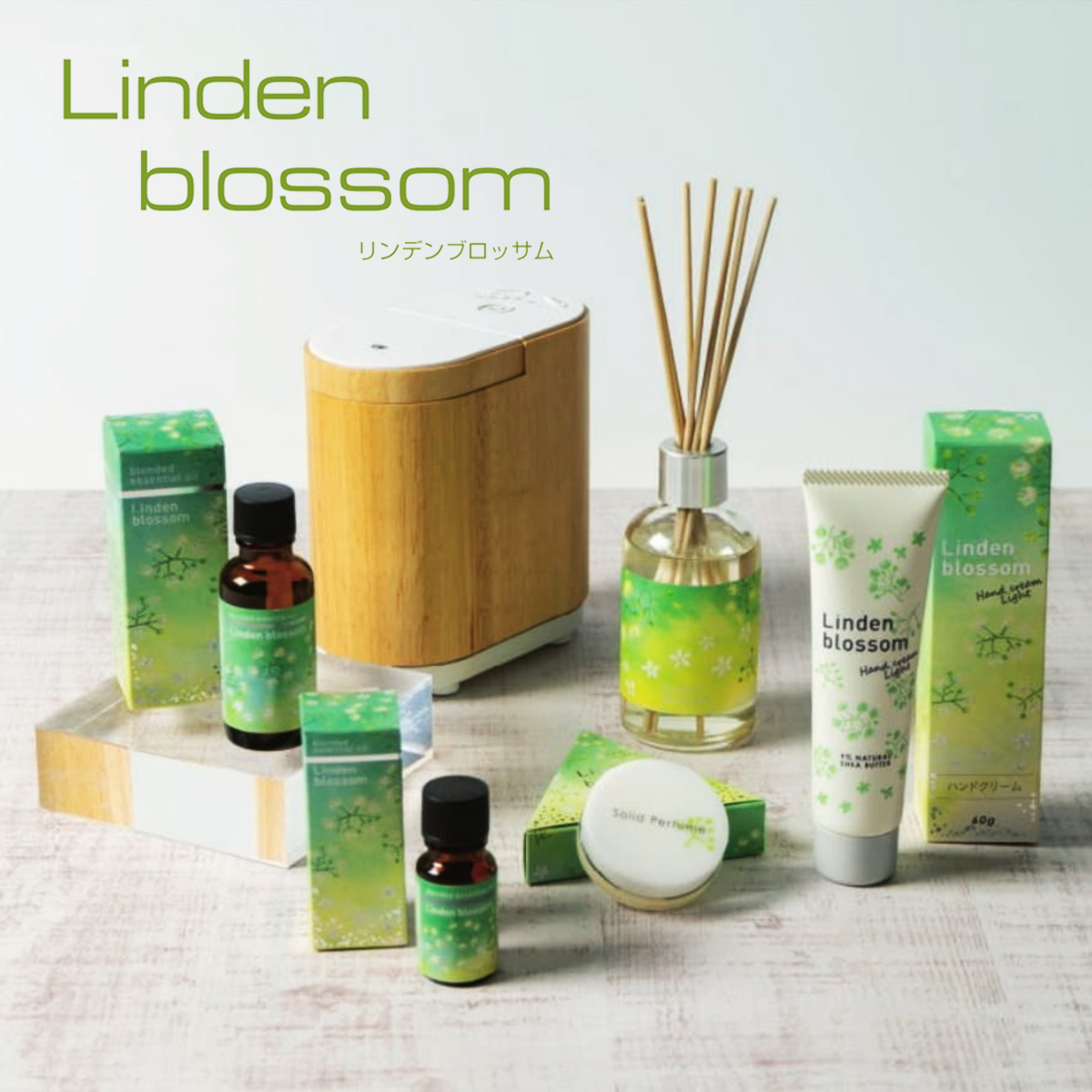 雑貨卸 雑貨仕入れ 生活の木 リンデンブロッサム リードディフューザー ハンドクリーム 練り香水 雑貨卸 雑貨仕入れなら自由が丘マーケットプレイス 旬で高感度な商品いっぱいの仕入れ 卸サイト