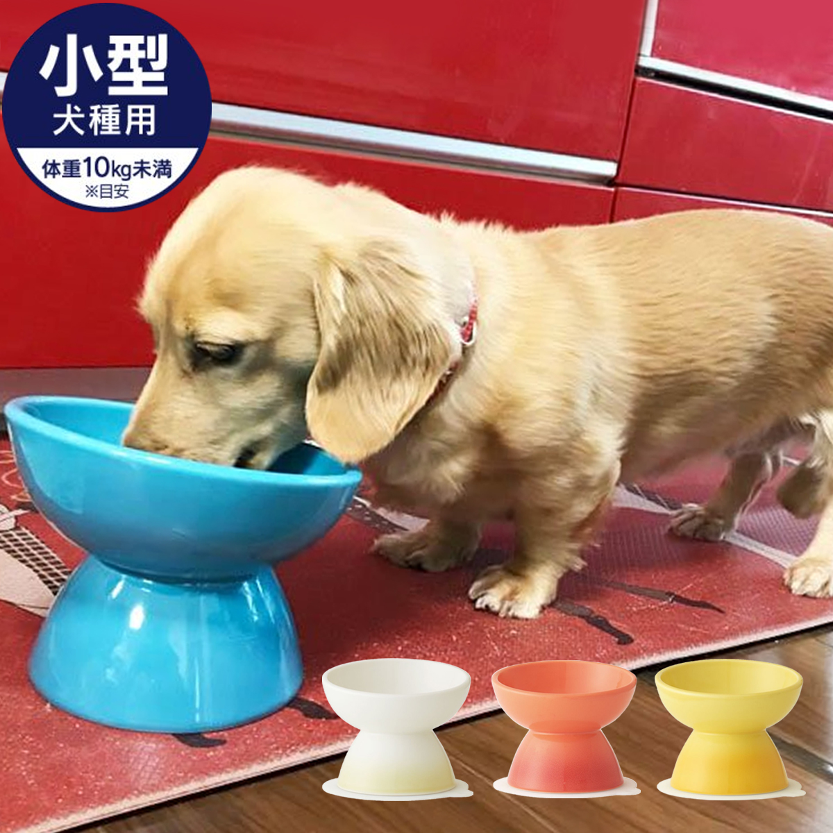 CHOB2 小型犬種用 陶器製食器 ペット用品
