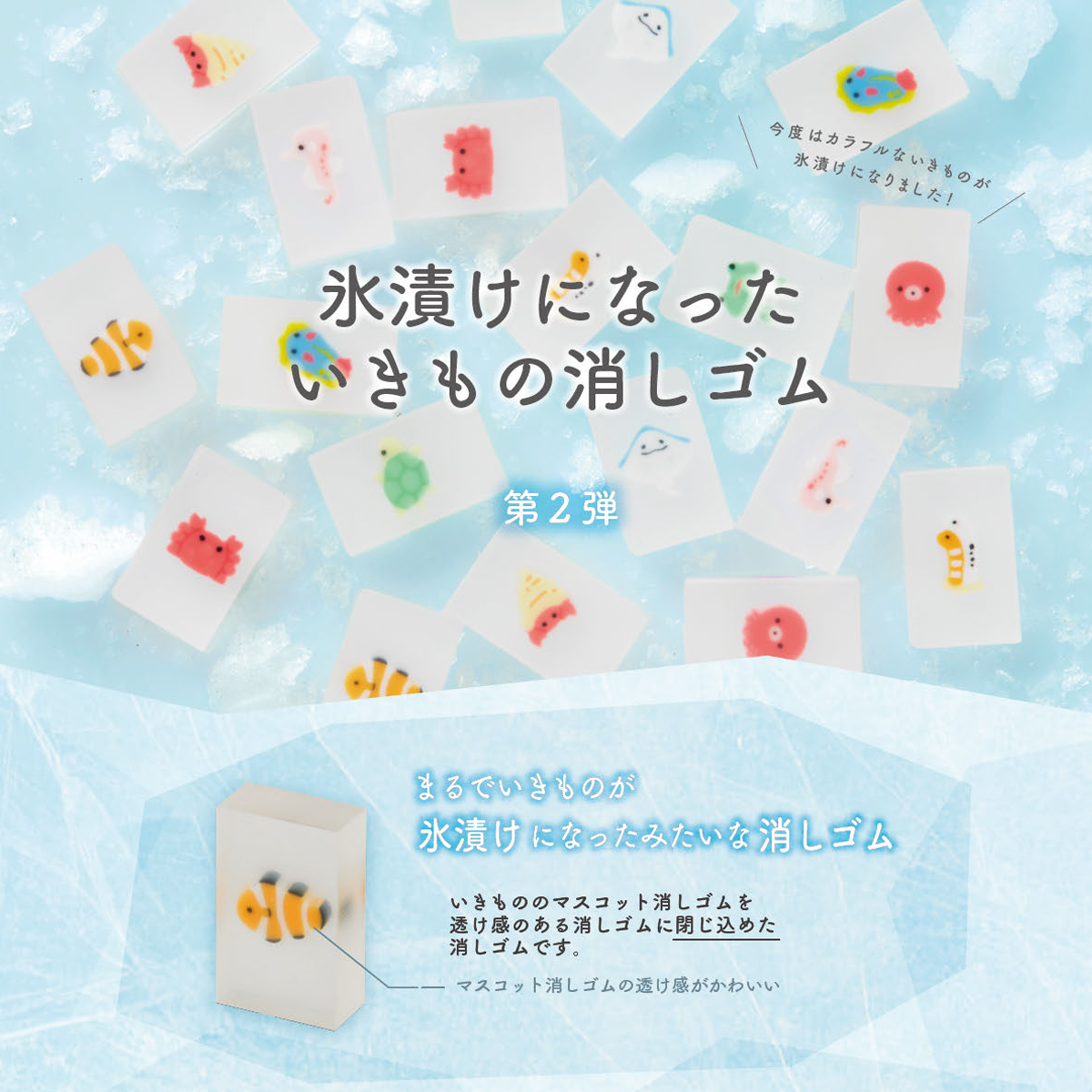 《予約:2027年3月発売・受注締切11/10(火)》氷漬けになったいきもの消しゴム 第2弾 チンアナゴたち/ウミウシたち
